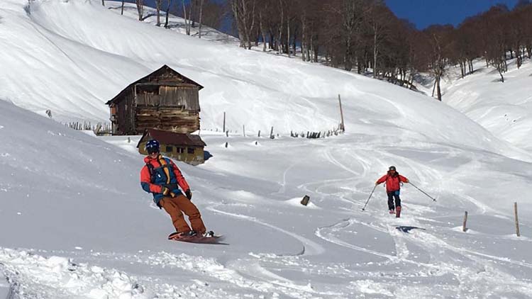 FREERIDE SKIING